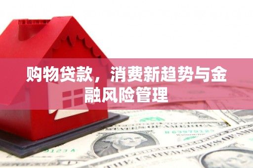 西安购物贷款，消费新趋势与金融风险管理