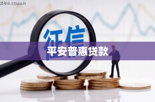 西安平安普惠贷款