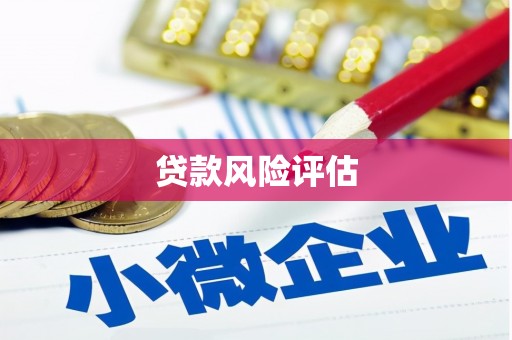 西安贷款风险评估