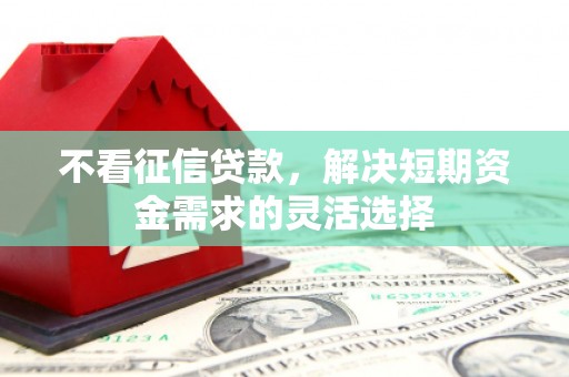 西安不看征信贷款，解决短期资金需求的灵活选择