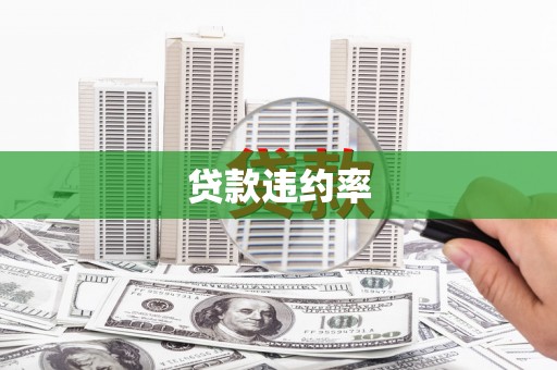 西安贷款违约率