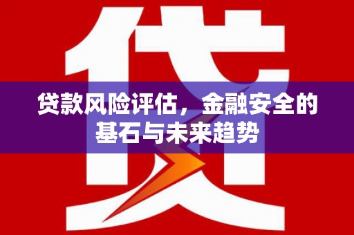 西安贷款风险评估，金融安全的基石与未来趋势