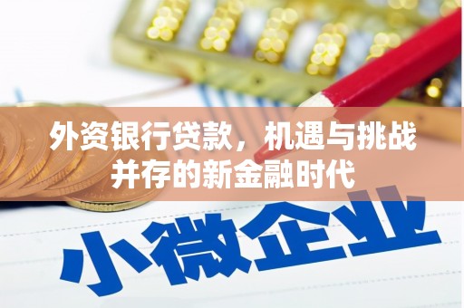 西安外资银行贷款，机遇与挑战并存的新金融时代