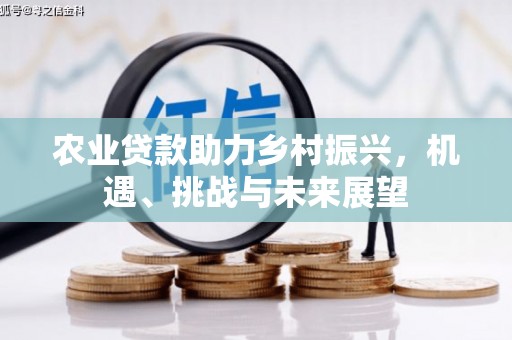 西安农业贷款助力乡村振兴，机遇、挑战与未来展望