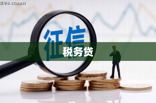 西安税务贷