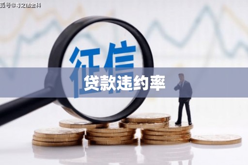 西安贷款违约率