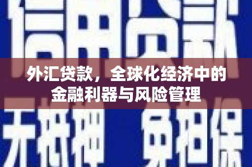 西安外汇贷款，全球化经济中的金融利器与风险管理