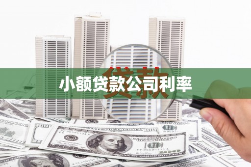 西安小额贷款公司利率