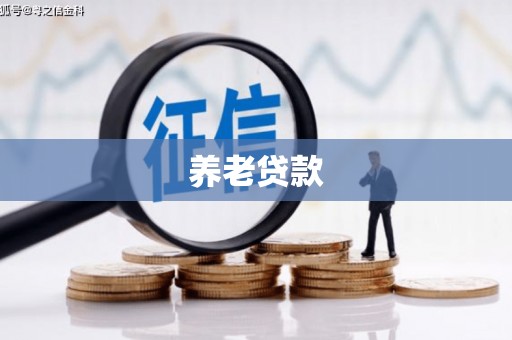 西安养老贷款