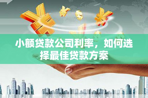 西安小额贷款公司利率，如何选择最佳贷款方案