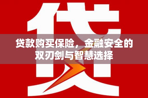 西安贷款购买保险，金融安全的双刃剑与智慧选择