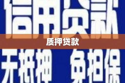 西安质押贷款