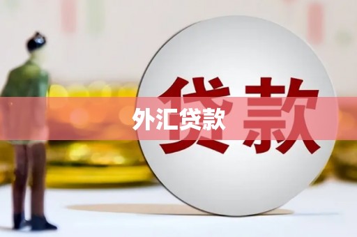 西安外汇贷款