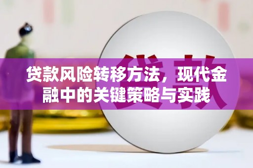 西安贷款风险转移方法，现代金融中的关键策略与实践