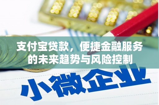 西安支付宝贷款，便捷金融服务的未来趋势与风险控制