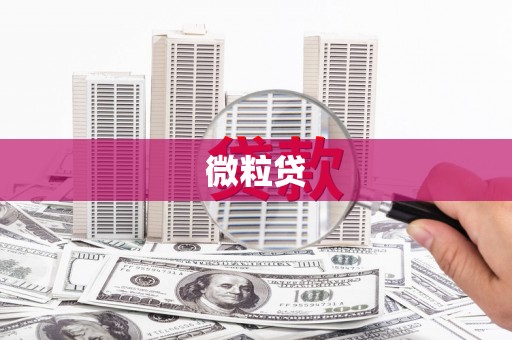 西安微粒贷