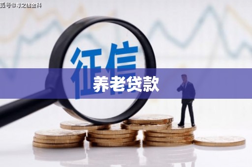 西安养老贷款