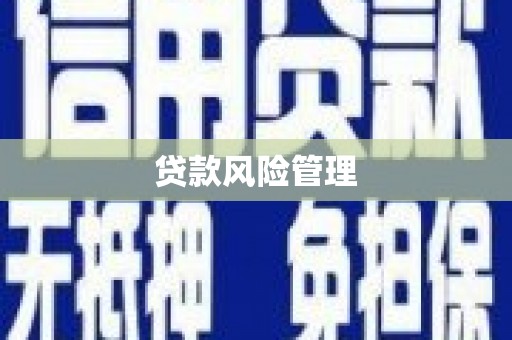 西安贷款风险管理