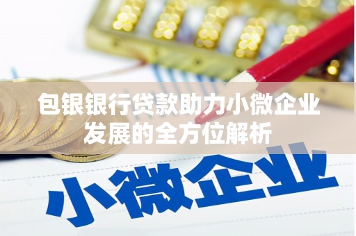 西安包银银行贷款助力小微企业发展的全方位解析