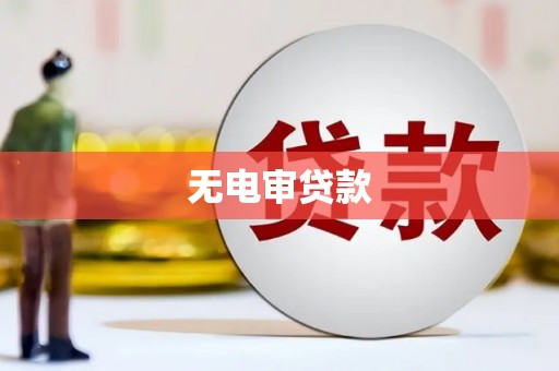 西安无电审贷款