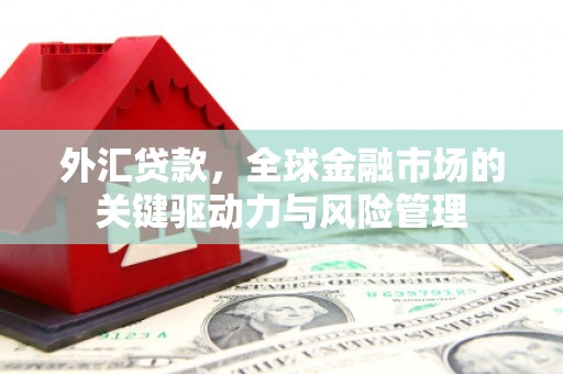 西安外汇贷款，全球金融市场的关键驱动力与风险管理
