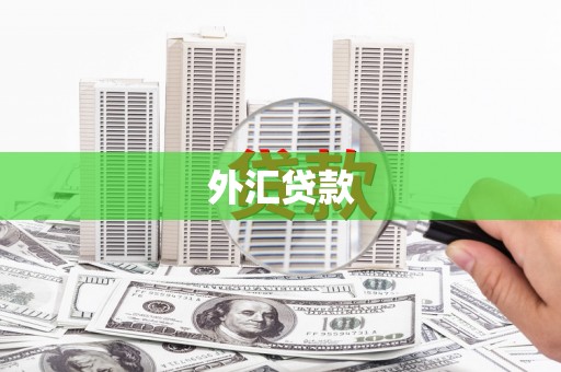 西安外汇贷款