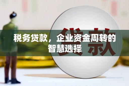 西安税务贷款，企业资金周转的智慧选择
