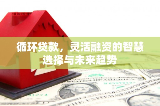 西安循环贷款，灵活融资的智慧选择与未来趋势