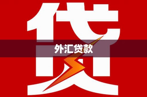 西安外汇贷款