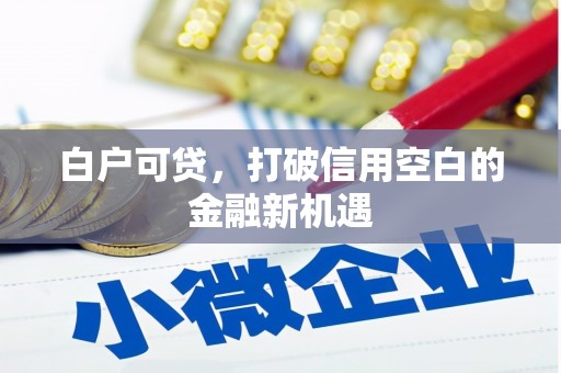 西安白户可贷，打破信用空白的金融新机遇