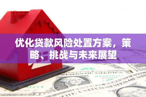 西安优化贷款风险处置方案，策略、挑战与未来展望