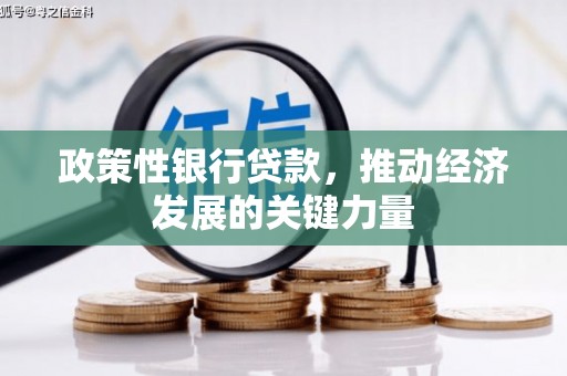 西安政策性银行贷款，推动经济发展的关键力量