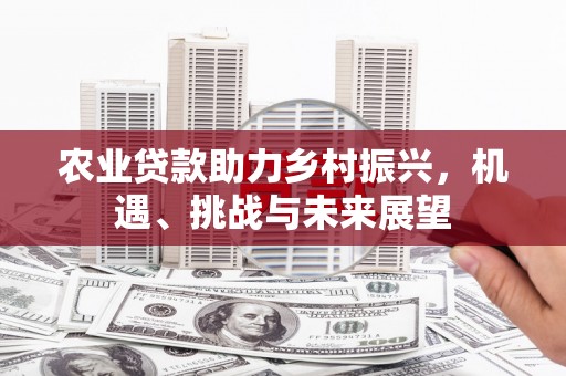 西安农业贷款助力乡村振兴，机遇、挑战与未来展望