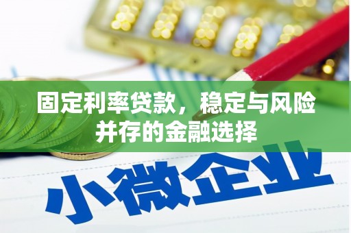 西安固定利率贷款，稳定与风险并存的金融选择