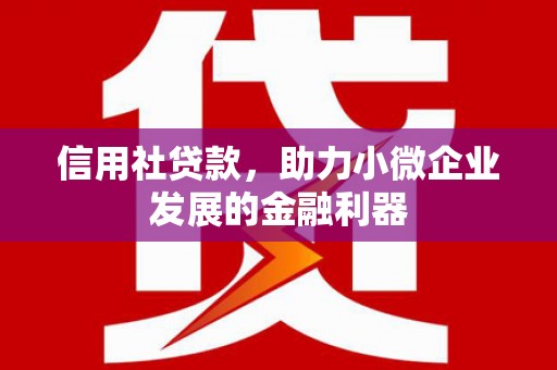 西安信用社贷款，助力小微企业发展的金融利器
