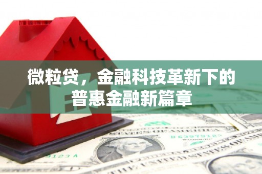 西安微粒贷，金融科技革新下的普惠金融新篇章