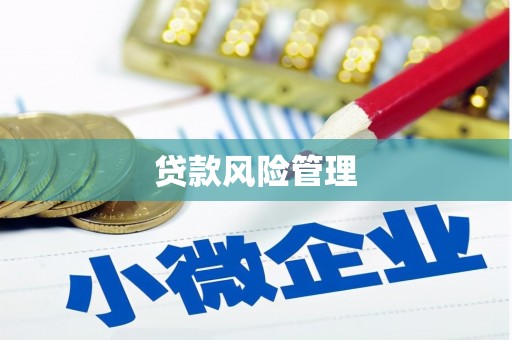 西安贷款风险管理