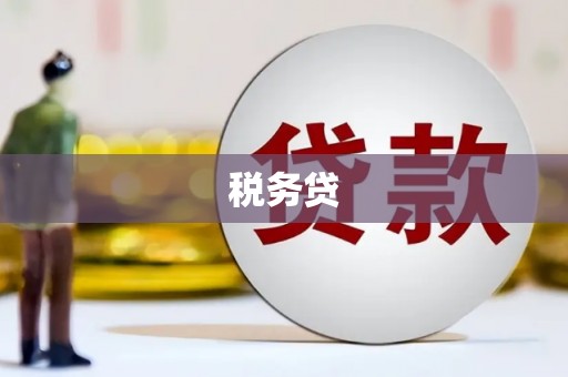 西安税务贷