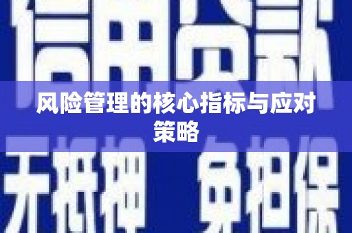 西安风险管理的核心指标与应对策略