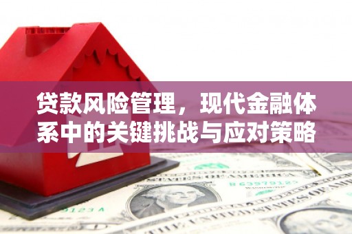 西安贷款风险管理，现代金融体系中的关键挑战与应对策略