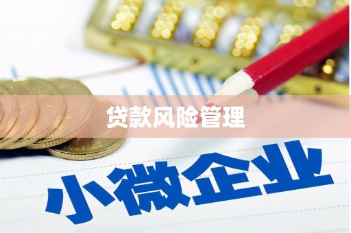 西安贷款风险管理