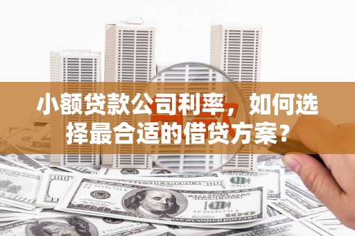 西安小额贷款公司利率，如何选择最合适的借贷方案？
