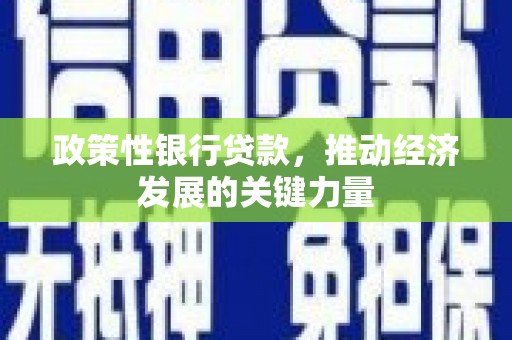 西安政策性银行贷款，推动经济发展的关键力量