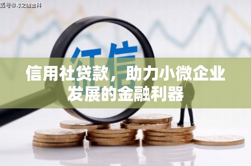 西安信用社贷款，助力小微企业发展的金融利器