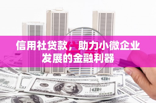 西安信用社贷款，助力小微企业发展的金融利器
