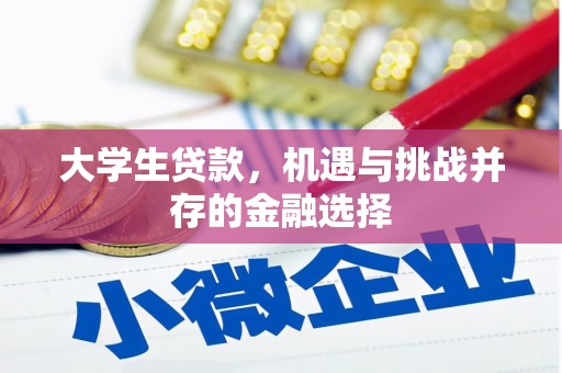 西安大学生贷款，机遇与挑战并存的金融选择