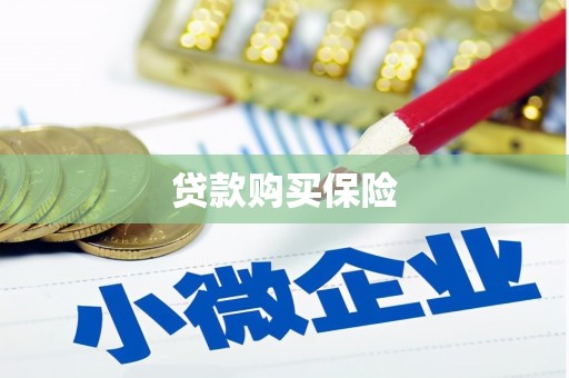 西安贷款购买保险
