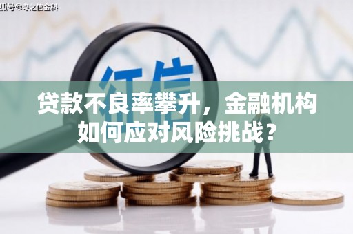 西安贷款不良率攀升，金融机构如何应对风险挑战？