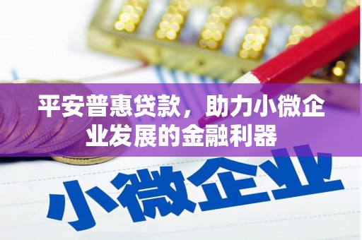 西安平安普惠贷款，助力小微企业发展的金融利器