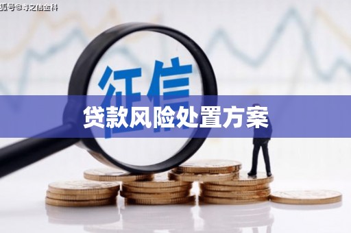 西安贷款风险处置方案